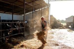 Podrška ZPP-a za "kauč" farmere negativno utječe na EU agrar