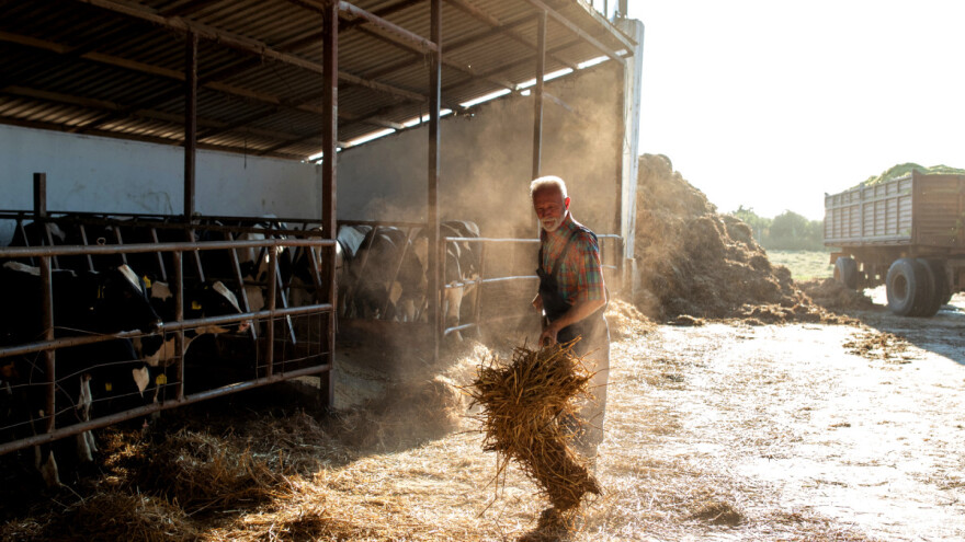 Podsticaji "kauč" farmerima negativno utiču na EU poljoprivredu