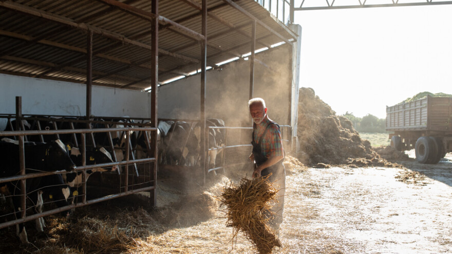 Objavljen Pravilnik o poticajima u RS, kolike su premije?