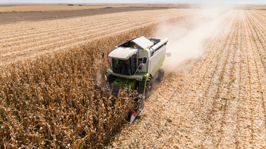 Kako izgleda prognoza za glavne ukrajinske ratarske kulture?