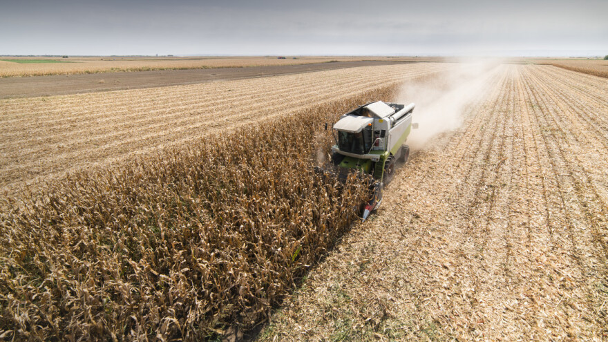 IGC revidirao globalnu proizvodnju žitarica - pada potrošnja?