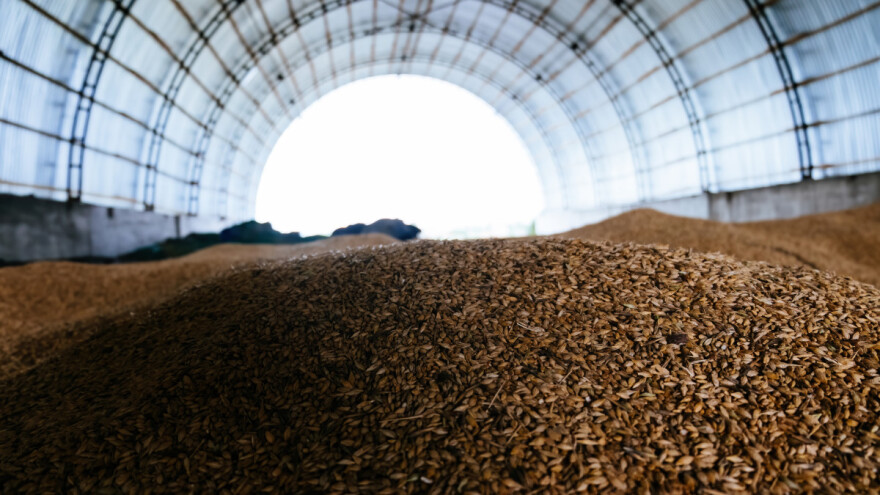 Mađarska će pooštriti kontrolu ukrajinskih žitarica