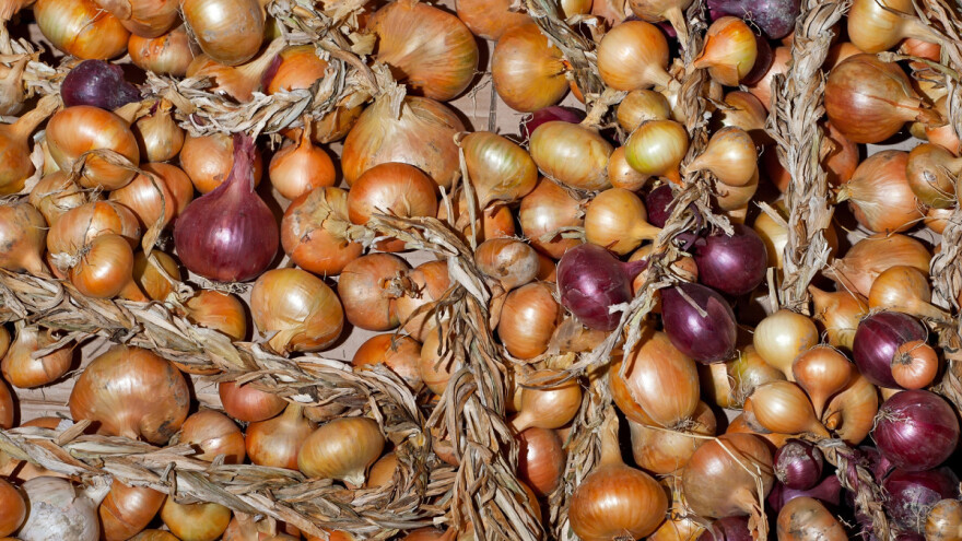 Pravilnim čuvanjem sprečite prorastanje kod crnog luka