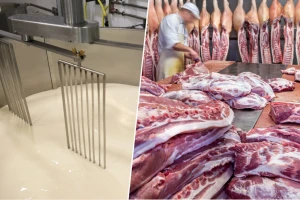 FAO: U oktobru najviše poskupeli mlečni proizvodi i meso