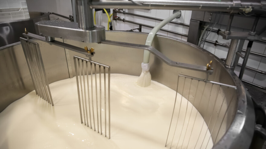 Kravlje mlijeko bez krava proizvodi se i u Evropi