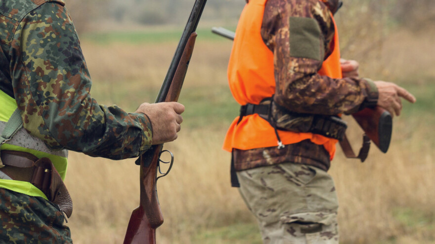 U samo dva dana ubili više od 500 divljih svinja i jelena