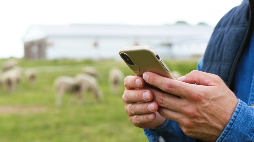 Kome nisu isplaćene subvencije u stočarstvu - nek prijavi Agroprofitu