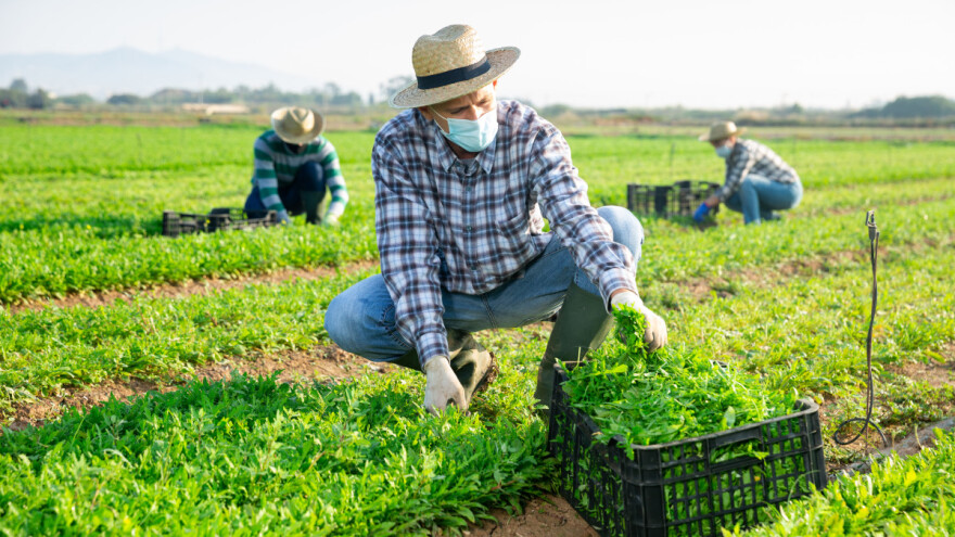 HPK traži hitnu izmjenu uvjeta prihvatljivosti za provedbu mjere 21