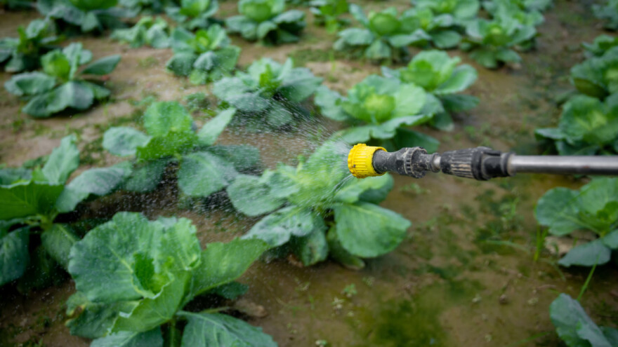 Ministarstvo poljoprivrede odobrilo proširenje registracije Mospilana za male namjene