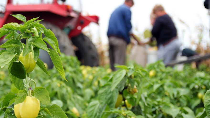 Poljoprivrednici, koja vam znanja nedostaju?