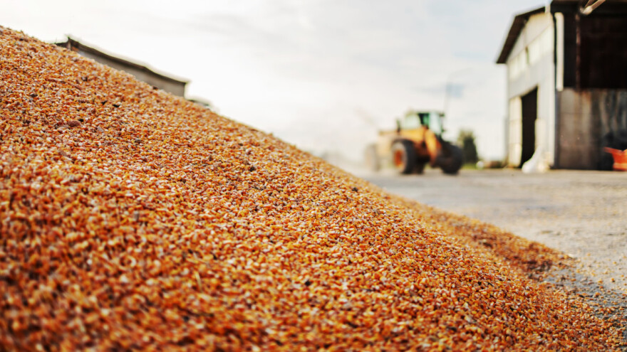 Zašto Rusija planira zabraniti izvoz žitarica u Evroaziju?