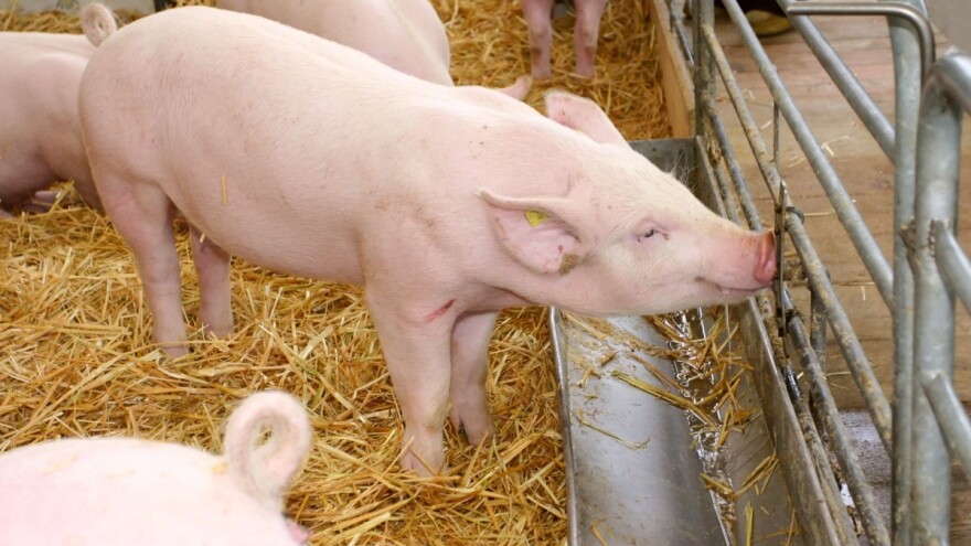 Posjetite Patent Co. u Gudovcu i ostvarite sajamski popust!