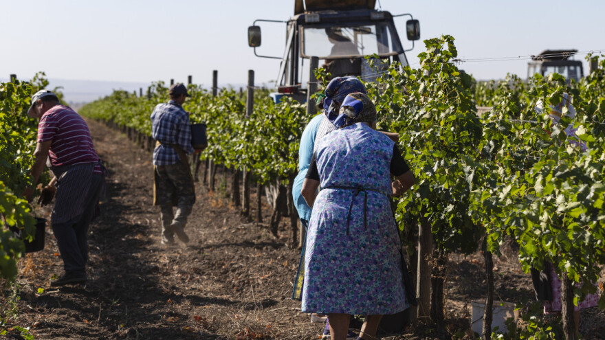 Moldavija: Zemlja vinograda i jeftine radne snage
