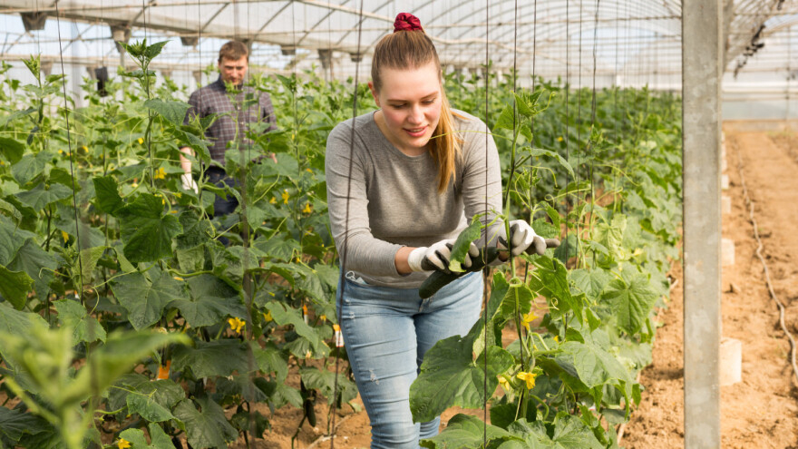 Agroekologija je novi put u poljoprivredi - još uvek trnovit u Poljskoj