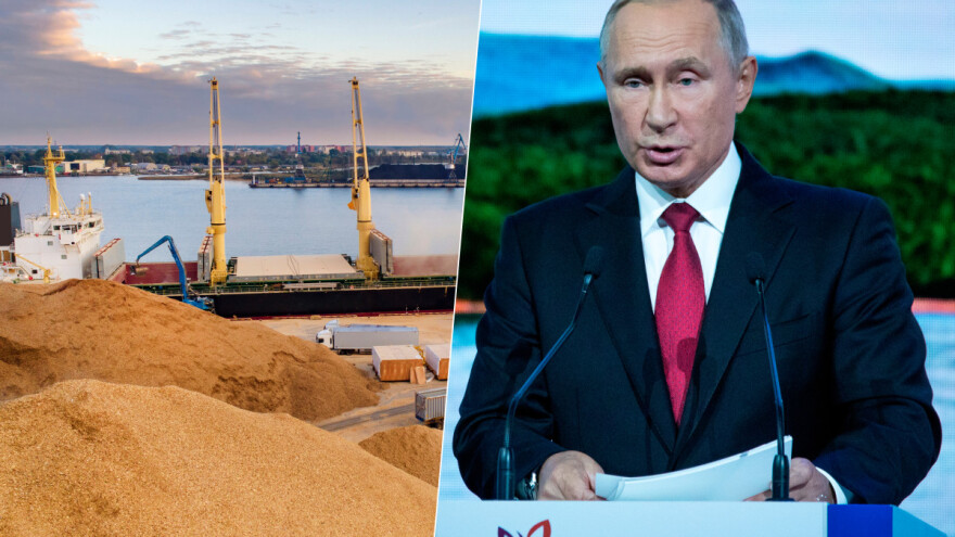 Putin: Siromašne zemlje su prevarene dogovorom o koridoru za žitarice