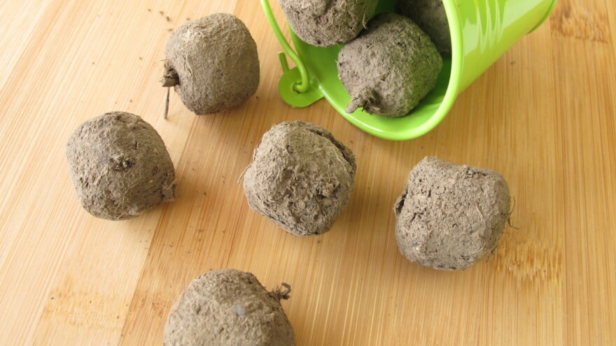 Semenske bombe za laku setvu cveća - bez oranja i kopanja