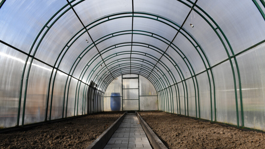 Kako pripremiti plastenik za proljetnu sjetvu?