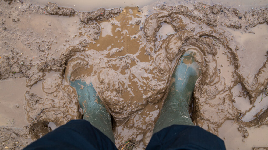 Trajno "nestaje" poljoprivredno zemljište: Čupajte nas, zaglibili smo!
