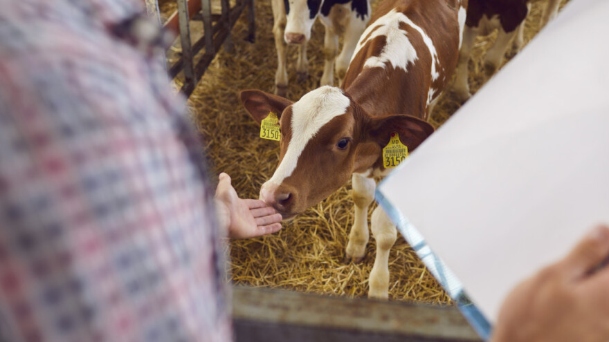 Odlaze li povijesna prava na plaćanja u povijest?