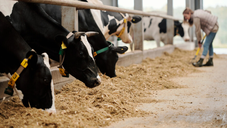Što donose izmjene Pravilnika o provedbi intervencija za potporu u primarnu proizvodnju i preradu?
