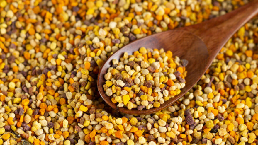 Pčelinja pelud - iznimna namirnica koja se često koristi u narodnoj medicini