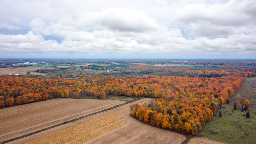 Kakvo nas vreme čeka u septembru, a kakvo do kraja godine?