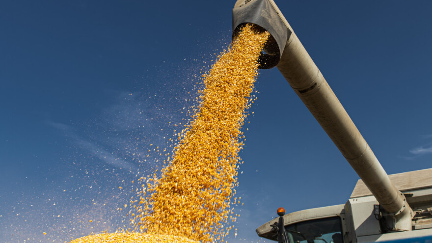 DZS objavio podatke: Pale cijena žitarica preko 50 posto, a rasle one u stočarstvu?