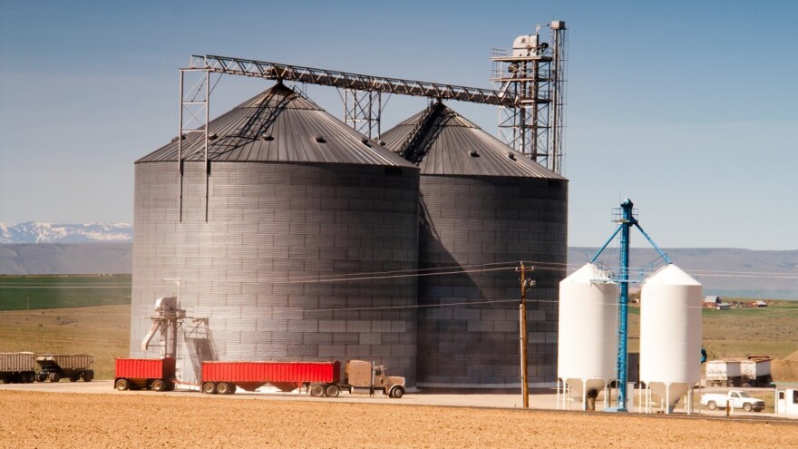 Tržište EU i dalje najvažnije za ukrajinski kukuruz