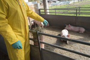 Što je potrebno za 3. kategoriju farme, kome se javiti? Imamo odgovor veterinara