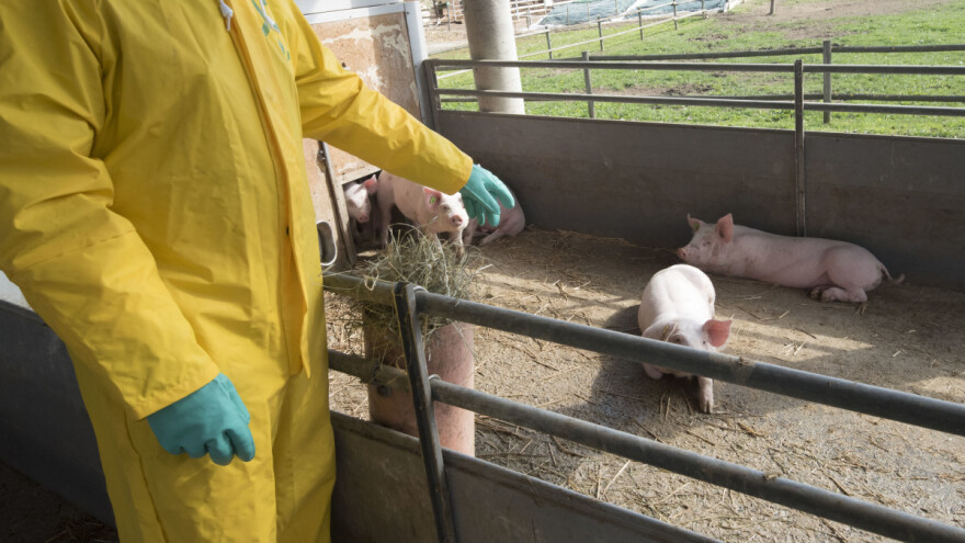 Što je potrebno za 3. kategoriju farme, kome se javiti? Imamo odgovor veterinara