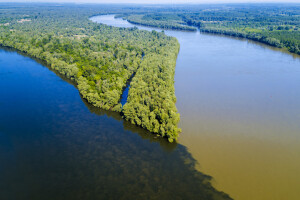 UNESCO proglašava rezervat biosfere Mura-Drava-Dunav u pet europskih država