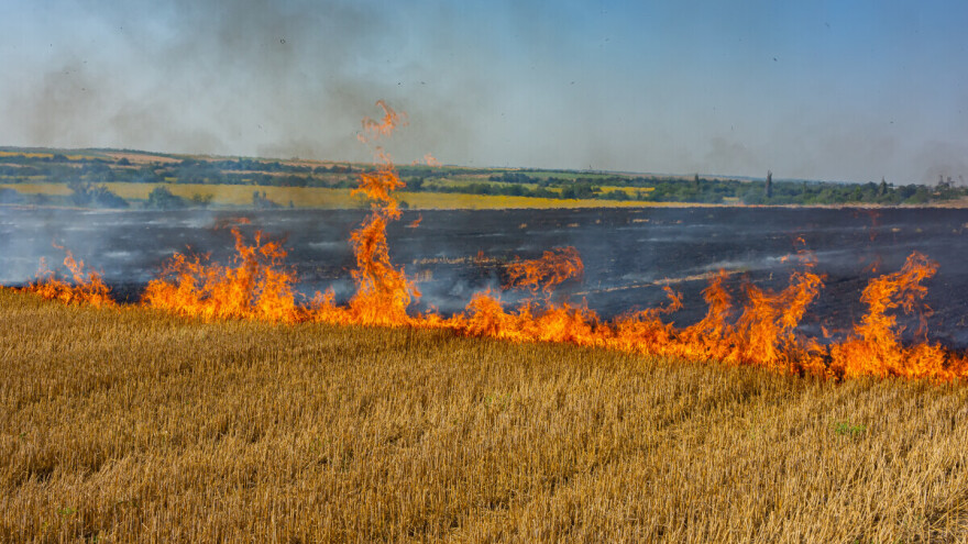 Razmislite ponovo da li ćete paliti žetvene ostatke: Smanjuje plodnost zemlje!