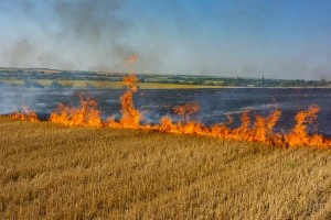 Razmislite ponovo da li ćete paliti žetvene ostatke. Zabranjeno je i smanjuje plodnost zemlje