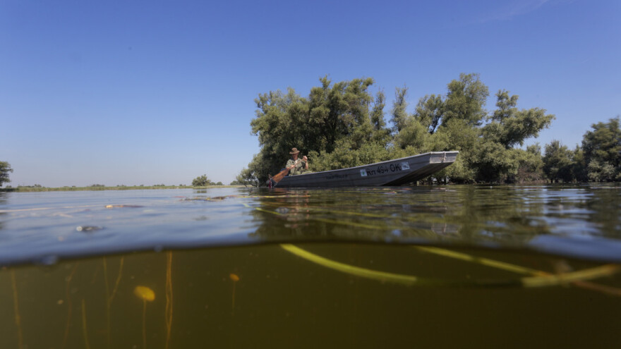 Oko 35.000 litara nafte izlilo se u Dunav kod Čelareva: Usledila hitna sanacija