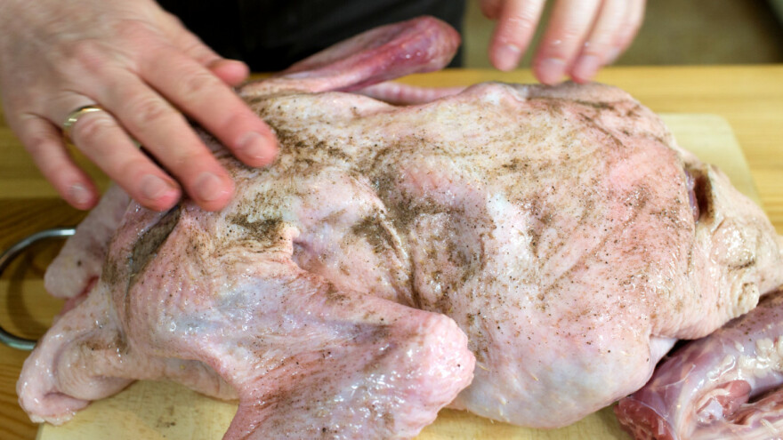 Više zaraze salmonelom u Europi - kako spriječiti obolijevanje?