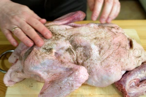 Više zaraze salmonelom u Evropi - kako da se spreči oboljevanje?