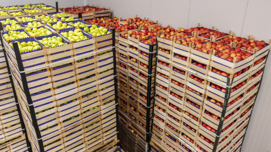 Očekuje se nestašica drvene ambalaže: Ukrajinske pilane napuštene, radnici mobilizirani