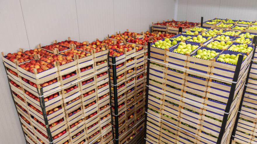 Otežan izvoz srpskih jabuka u Rusiju zbog pogrešnih uplata?