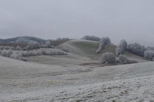Šta se u januaru radi na njivi, u voćnjaku, plasteniku, sa životinjama?
