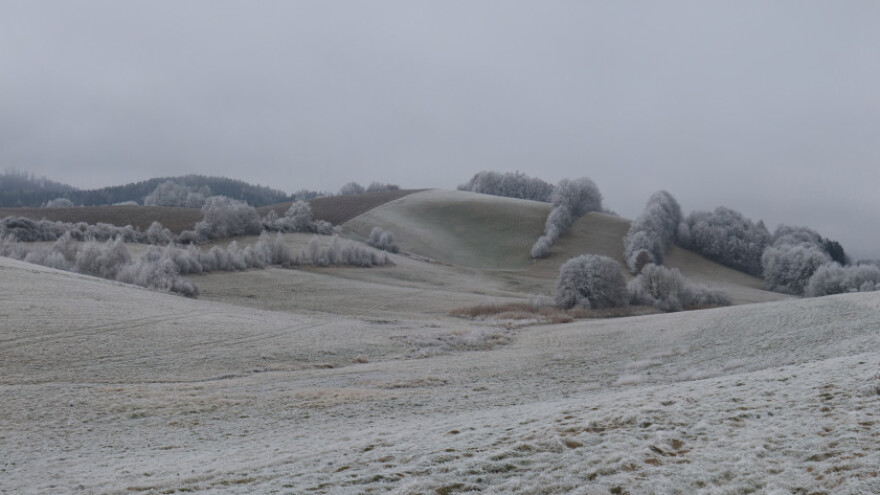 Šta se u januaru radi na njivi, u voćnjaku, plasteniku, sa životinjama?