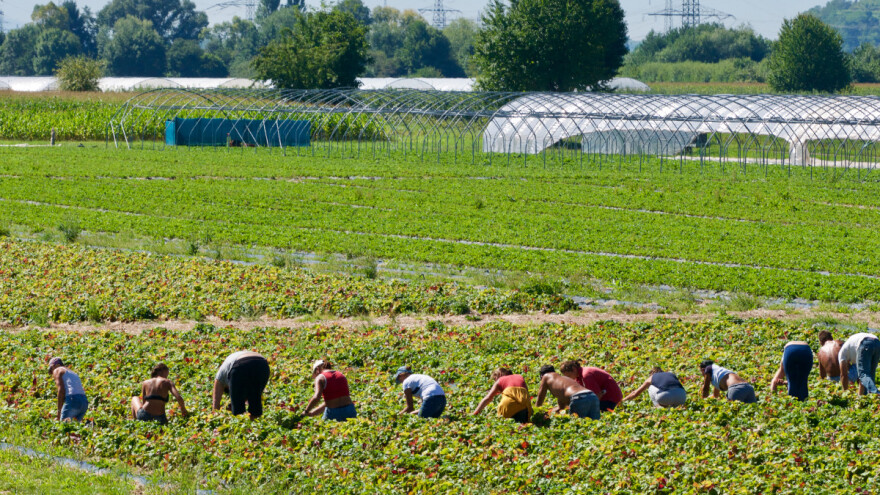 Prava za sve sezone: ELA podržava pošten rad sezonskih radnika