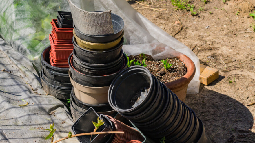 Tri stvari treba uraditi sa saksijama pre presađivanja biljaka