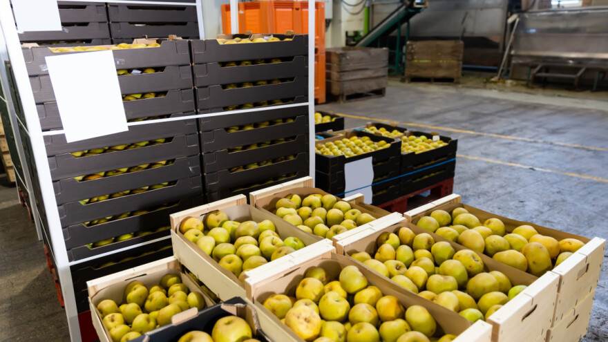 Sunčano i toplo vreme - zaštititi jabuke od skladišnih bolesti