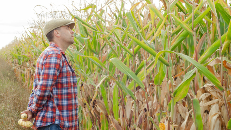 Odložena otplata kredita za poljoprivrednike i plaćanje zakupa?