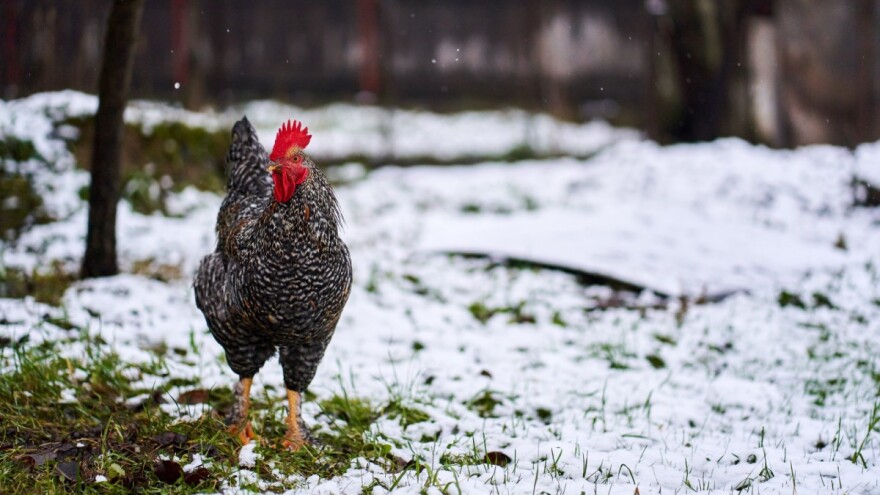 Mogući cjelodnevni minusi, dodatno zahlađenje na izmaku sedmice