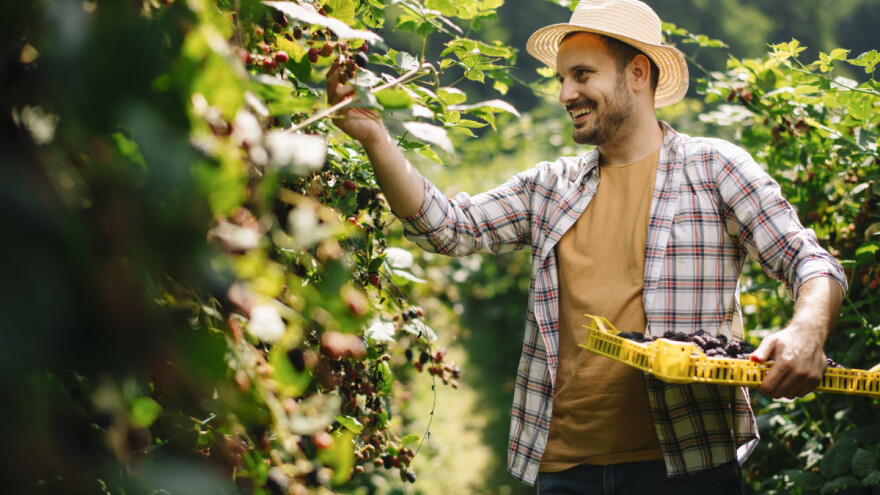 Imate ekoproizvod? Prijavite se na Zelenu medalju, osvojite nagrade