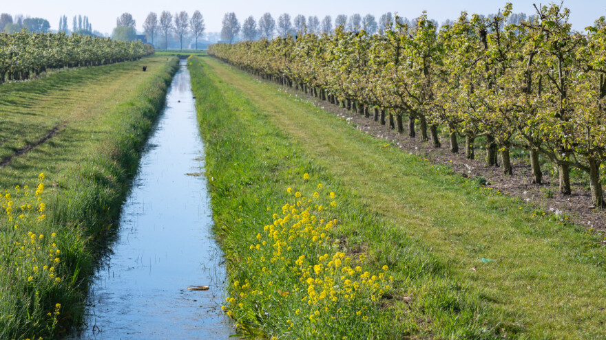 Dogovorene poljoprivredne kvote između EU i SAD?