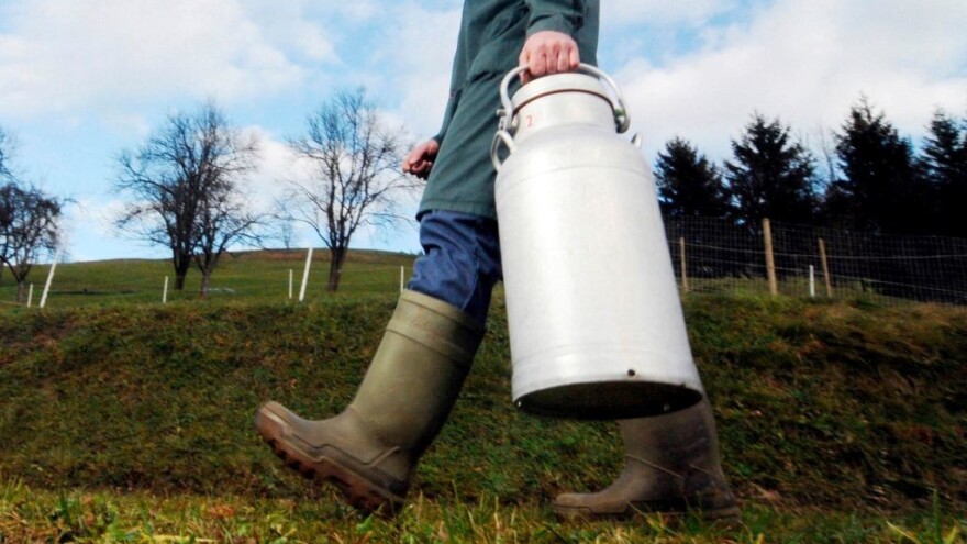 U 2024. manje krava, manje mleka - ko je najviše ugrožen?
