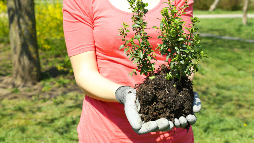 Ne priznaju im smjer? Stigao odgovor Udruzi studenata Urbanog šumarstva