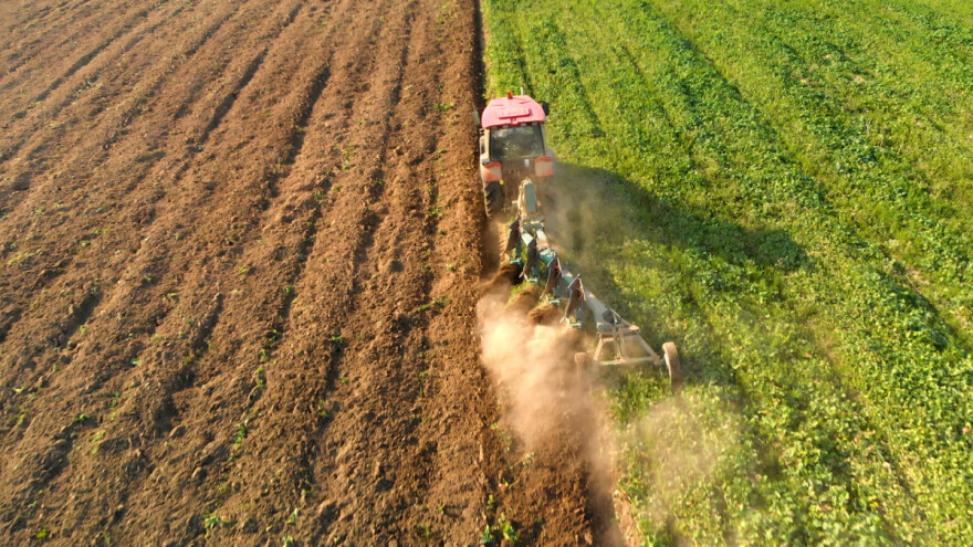 Zelenišno đubrivo je pristupačno i efikasno popravlja plodnost zemljišta